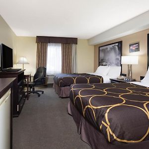 Queen Room Two Queen Beds Non-Smoking